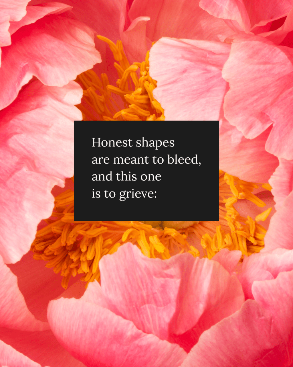 A Spell for Letting&nbsp;Go